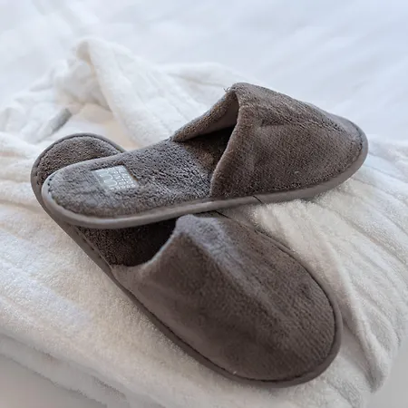 Palazzo Dipinto 4* Lucca