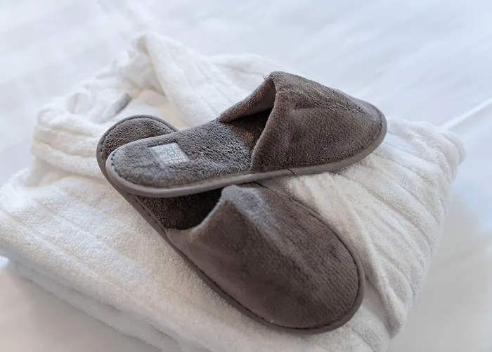 Palazzo Dipinto 4* Lucques